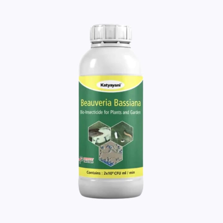 Katyayani BHASAM | Beauveria Bassiana Bio-Insecticide