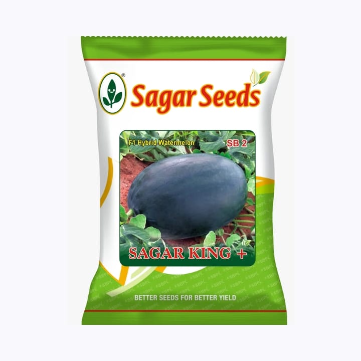Sagar King plus F1 Watermelon(50g)