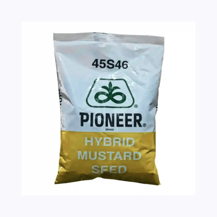 PIONEER 45S46 F1 Hybrid Mustard Seeds