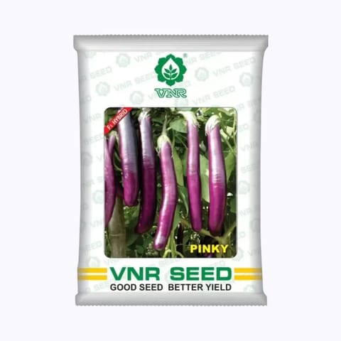 VNR Pinky Brinjal Seeds