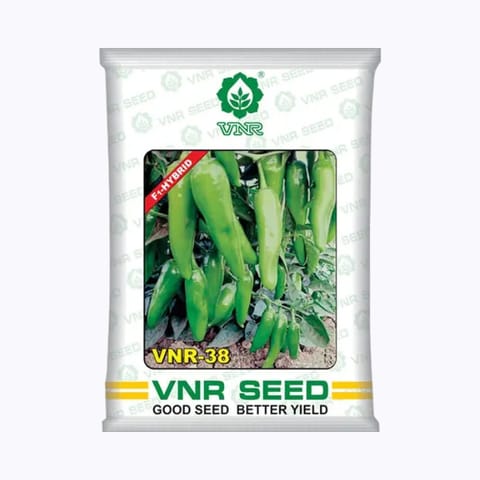 VNR - 38 మిరప గింజలు