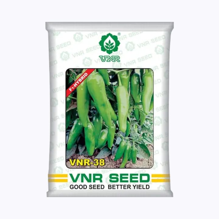 VNR - 38 మిరప గింజలు