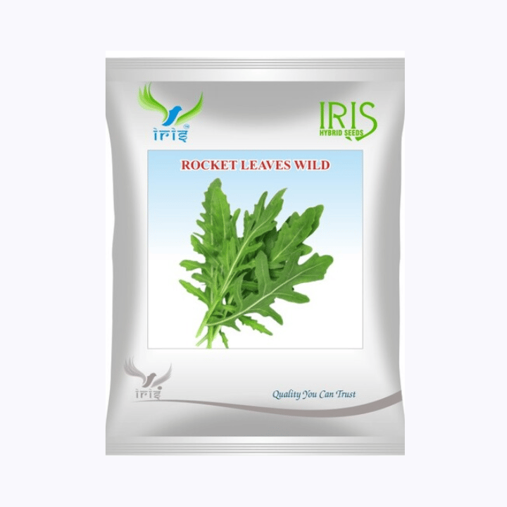 Iris Imported OP Rocket Leaves Wild Seeds