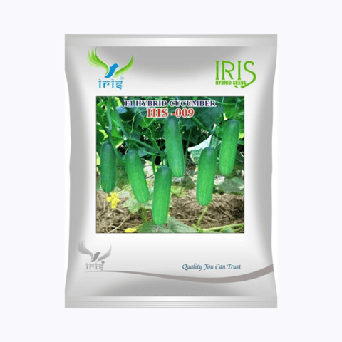 ఐరిస్ హైబ్రిడ్ F1 CUCUMBER IHS-009