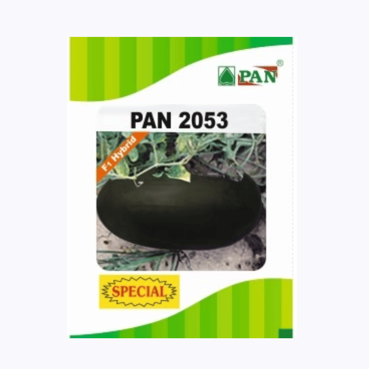 पैन 2053 तरबूज के बीज