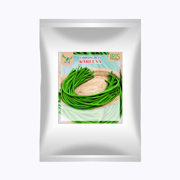 Iris OP Yardlong Beans Kareena Seeds