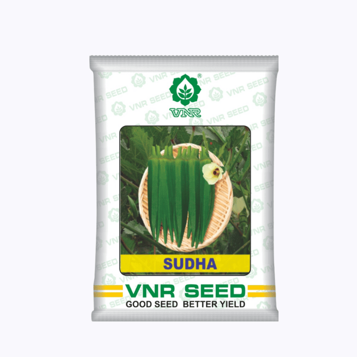 VNR సుధా ఓక్రా (భిండి) విత్తనాలు