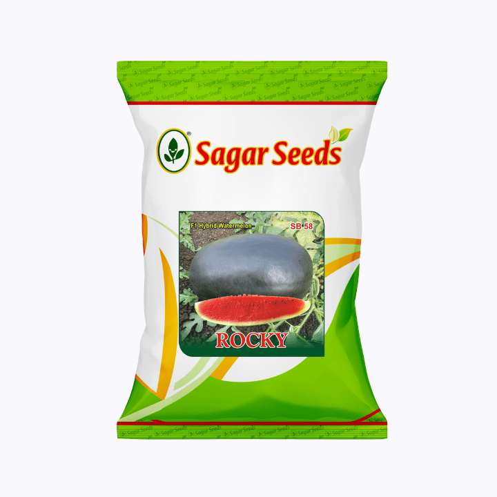 Sagar Rocky F1 Watermelon Seeds
