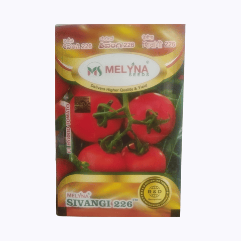 मेलिना सिवांगी 226 टमाटर के बीज