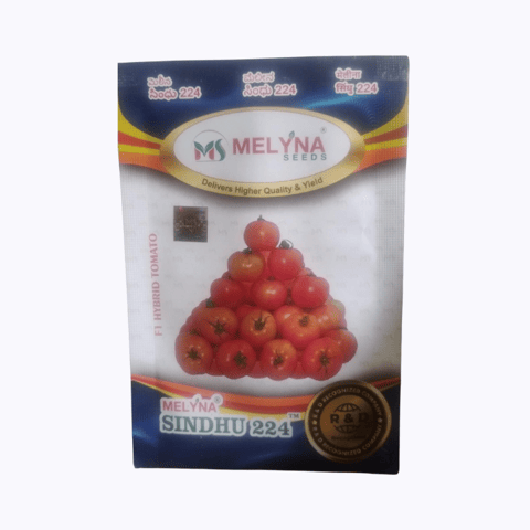 Melyna Sindhu 224 Tomato seeds