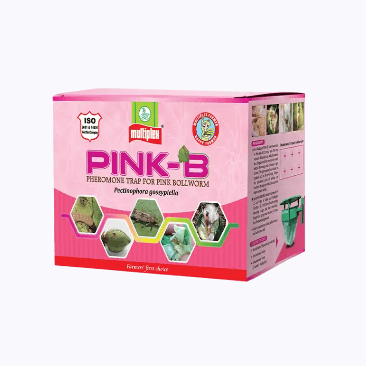 Multiplex Pink-B Pheromone Trap
