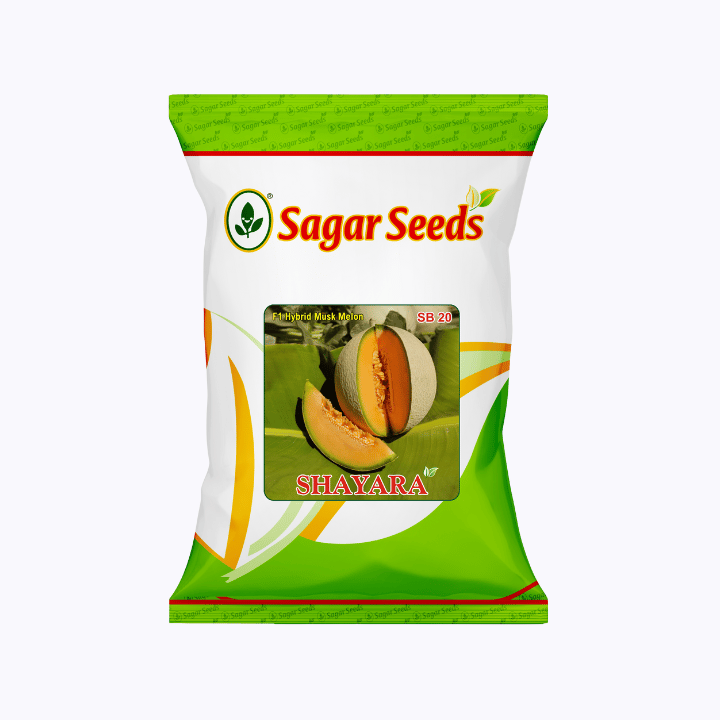 Sagar Shayara F1 Muskmelon Seeds