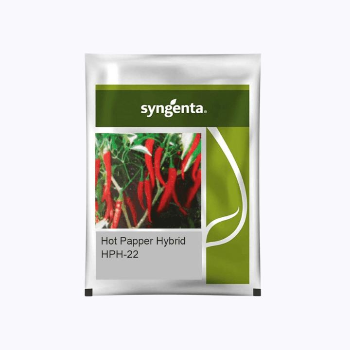 Syngenta HPH 22 Chilli Seed
