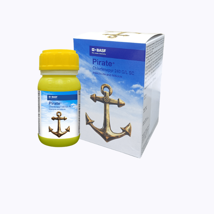 BASF Pirate Insecticide
