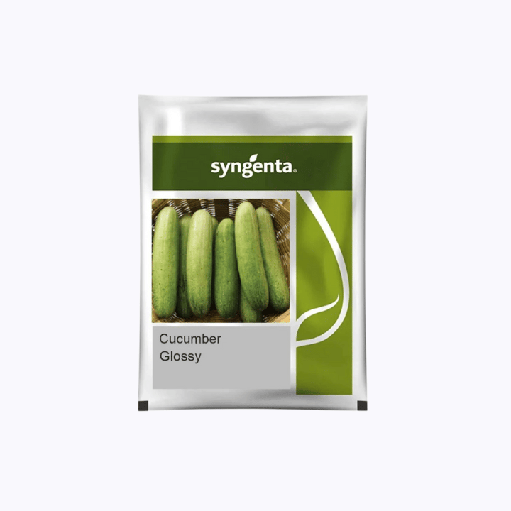 Syngenta Glossy Cucumber seeds