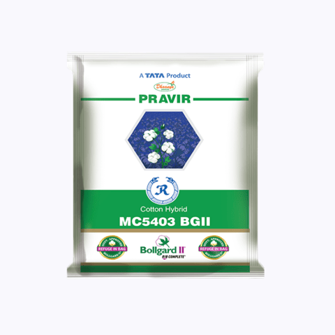 Tata Pravir (MC5403) BG II Hybrid Cotton Seeds