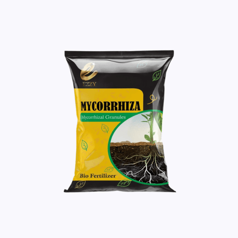 Bio-Tech Grade Mycorhizal Granules Biofertilizer