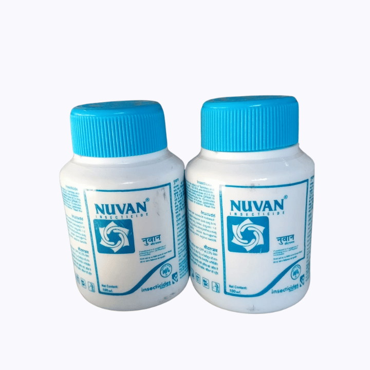 Insecticide