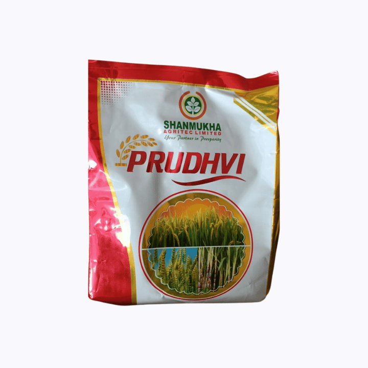 Shanmukha Prudhvi Fertilizer