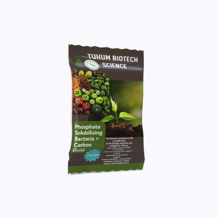 Tuhum Biotech Phosphate Solubilizing Fertilizer