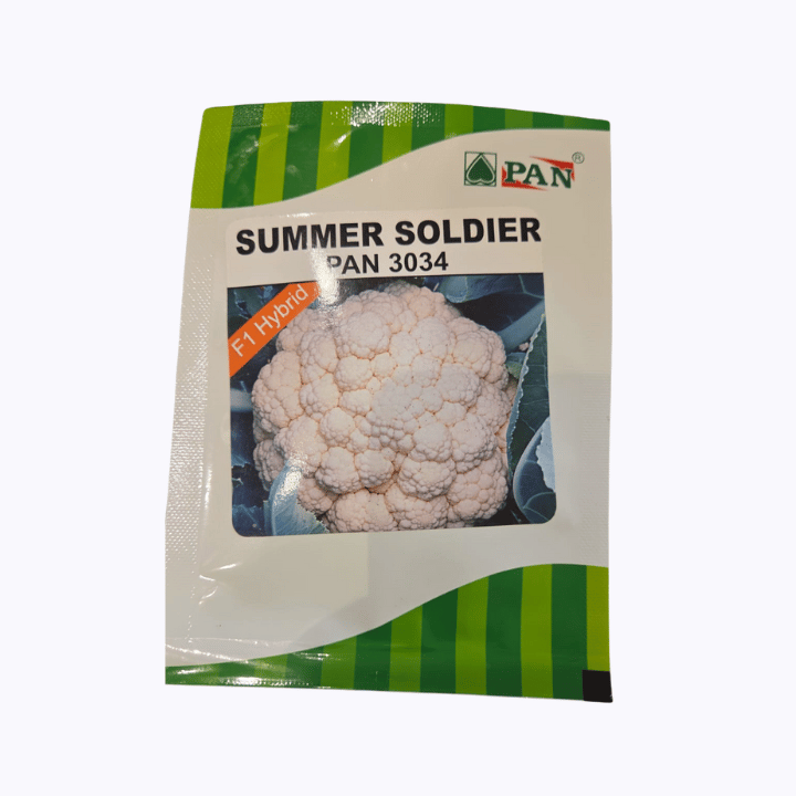 PAN Summer Soldier 3034 Cauliflower Seeds