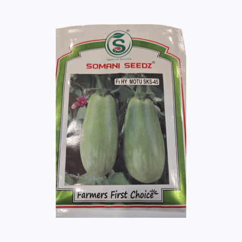 Somani SKS-45 Motu HYB Brinjal Seeds