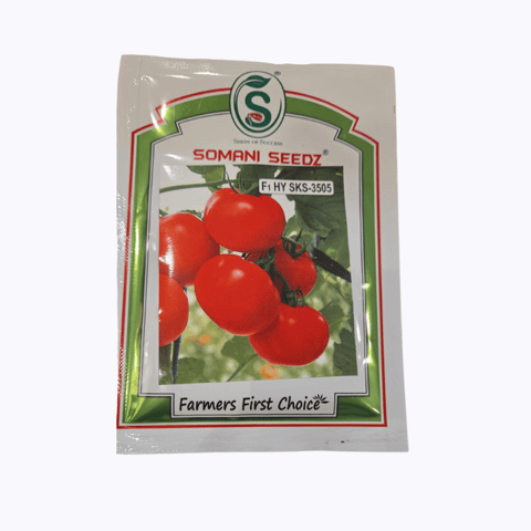Somani Seedz Tomato – SKS 3505