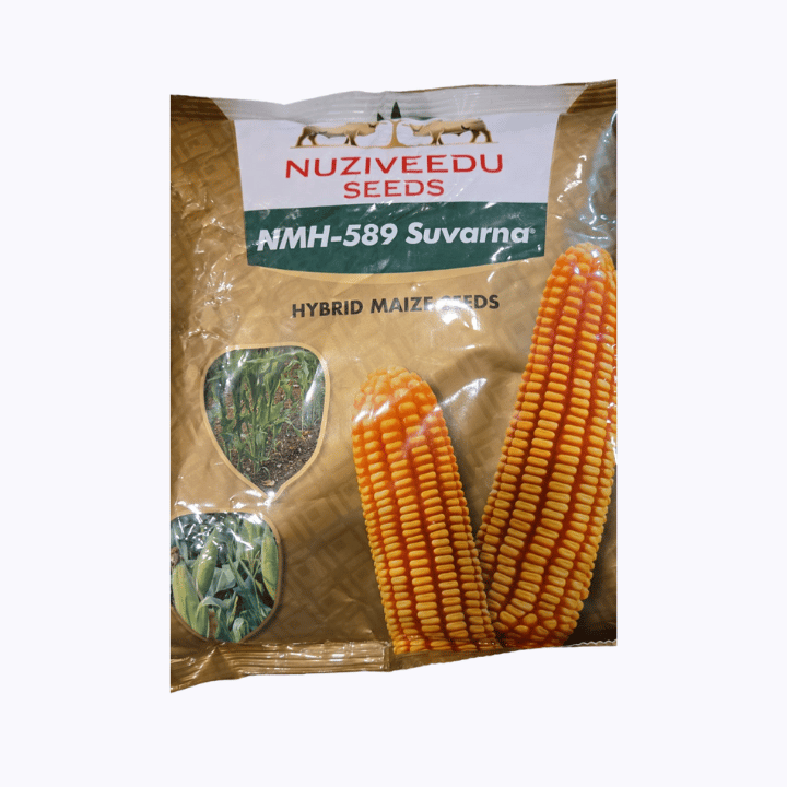 Nuziveedu NMH 589 Suvarna Hybrid Maize Seeds