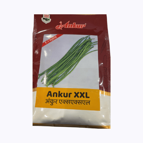 अंकुर हाइब्रिड लोबिया XXL बीज