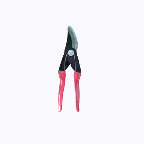 Pruner Cutter (Indian Design)