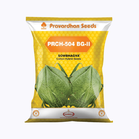 ప్రవర్ధన్ సీడ్స్ సౌభాగ్య PRCH-504 BG-II పత్తి