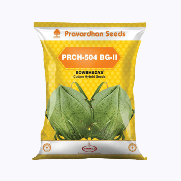 प्रवर्धन बीज सौभाग्य PRCH-504 BG-II कपास