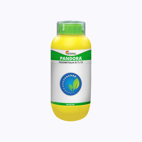 Swal Pandora Pendimethalin 38.7% CS Herbicide