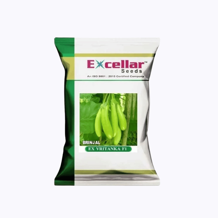 Excellar Vritanka Brinjal Seed