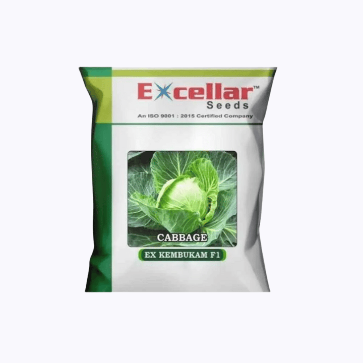 Excellar Kembukam F1 Cabbage Seed
