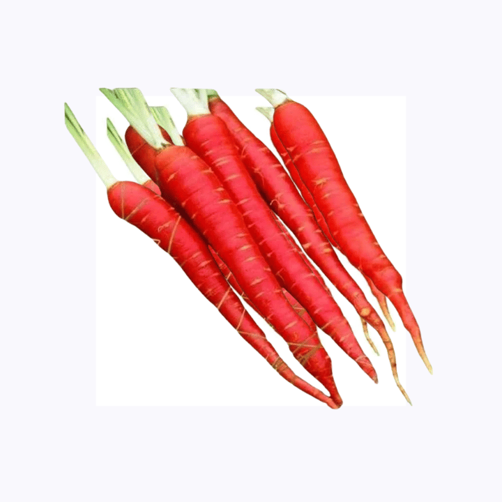 एक्सेलर मोहिनी लाल गाजर बीज