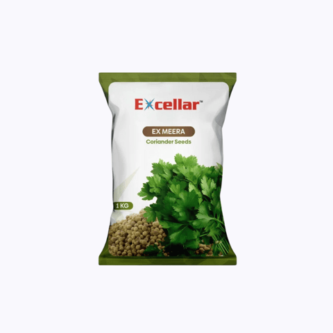Exceller EX Mira F1 Coriander Seeds