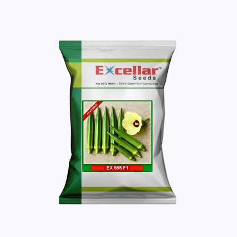 एक्सेलर ओकरा EX 555 F1 बीज