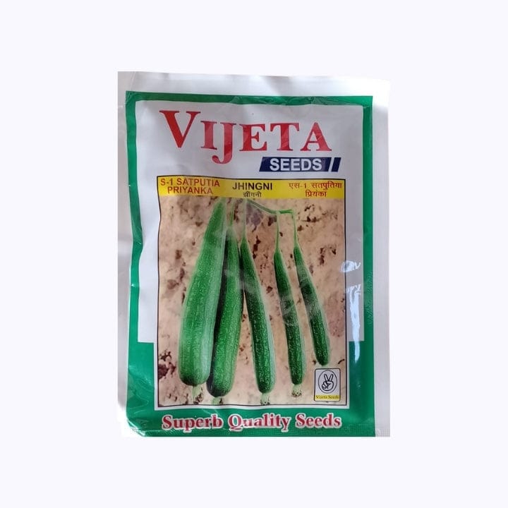 Vijeta S-1 Satputia Priyanka Ridge Gourd