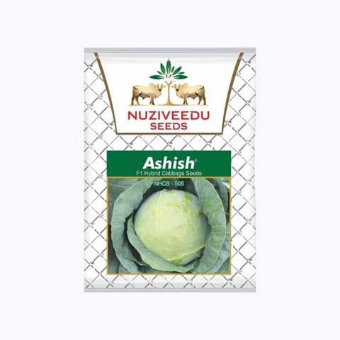 Nuziveedu Ashish NHBC-505 Cabbage Seeds