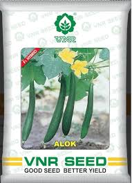 VNR Sponge Gourd Alok F1 Hybrid Seeds, Gilki ke Beej, Very High Yielding, Best In Germination.