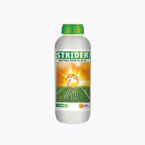 UPL Strider Herbicide