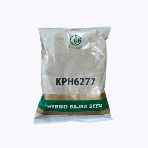 Kaveri Hybrid KPH6277 Bajra Seeds