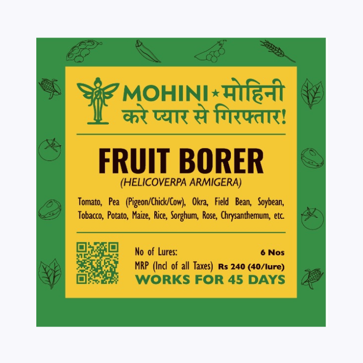 Mohini – Fruit borer (Helicoverpa armigera)