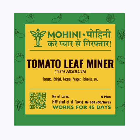 Mohini – Tomato Leaf Miner Lure for (Tuta absoluta)