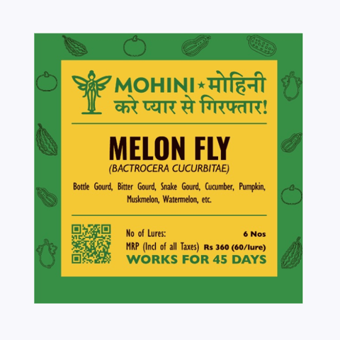 Mohini – Melon Fly Lure (Bactrocera cucurbitae)