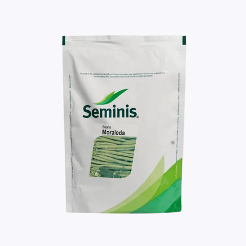 Seminis MORALEDA Beans Seeds