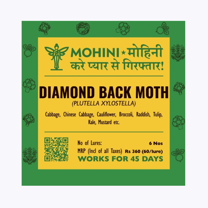 Mohini – Diamondback Moth Lure (Plutella xylostella)