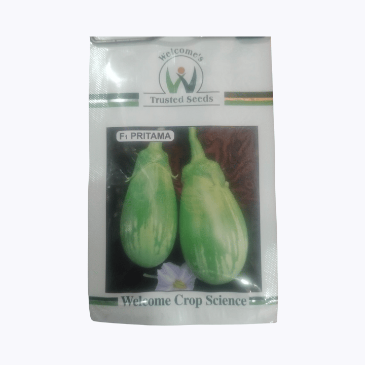 Pritama Brinjal Seeds