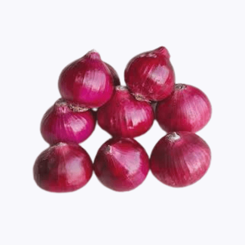 Alpine Nashik Red Onion Seeds